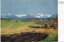 Képeslap: Tájkép, juhok.