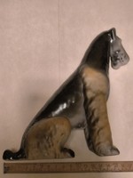 Porcelàn kutya hollóhàzi