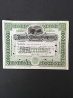 Amerika Michigani Ahmeek Bányászati Részvénytársaság Részvényigazolás 1922.