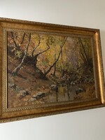 Kárpáthy Jenő forest stream