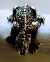 ÓRIÁS GEKKÓ GYÍK DIZÁJN JELZETT TÖMÖR EZÜST GYÜRŰ MOTOROS METAL ROCK ÉLES BELSŐ ÁTMÉRŐ : 19 MM