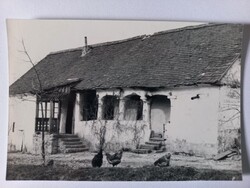 Régi fekete-fehér fotó, tanyavilág, falu, parasztház 1950-es évek