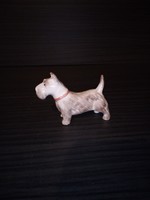 Aquincum porcelán terrier kutya. Hibátlan.
