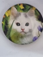 Cicás minőségi szuper mágnes (88)