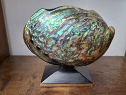 Abalone, pávakagyló