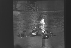 Régi fotónegatív kislány Rakéta biciklive, kölyökkutyával és kiscicával 1960-es évek