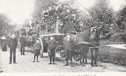 Képeslap:  Ló, lovak.