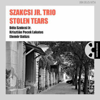Szakcsi Jr. Trio: Stolen Tears (LP) (ÚJ)
