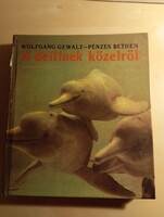 Wolfgang Gewalt - Pénzes Bethen A delfinek közelről
