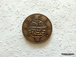 Szeged Tourist emlékérem  Átmérő 42 mm  Súly 31.22 gramm
