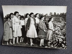 D206110  Fotó - Csoportkép - Pannonhalma- 1958 debreceni iskoláslányok