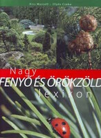 Kiss Marcell és Illyés Csaba: Nagy fenyő és örökzöld lexikon