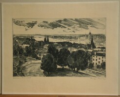 Csurgói Máté Lajos (1931 - ) : Látkép a Dunával