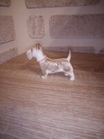 Aquincum Fox terrier porcelán kutya. Hibátlan.