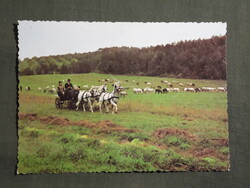 Képeslap,Szilvásvárad,Szalajka völgy,Lipicai hármas fogat látkép,részlet, 1982-