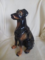 Ülő dobermann kölyök nagyméretű porcelán szobor szép festéssel hibátlan jelzett 30 cm
