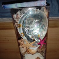 Nagy méretű egyedi irizáló Abalone kagyló eladó
