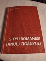 Papp János: Tanuljunk cigányul!