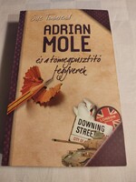 Sue Townsend: Adrian Mole és a tömegpusztító fegyverek