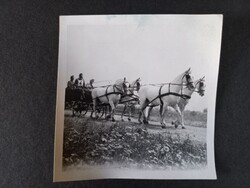 Régi fotó Lovaskocsin - Apaj, 1975 Július 26. felirattal