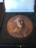 Régi bronz plakett jelzett ÁP jelzéssel Surányi János 1885-1965 emlékérem