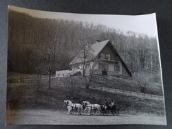 Régi  fotó Szilvásvárad - lovaskocsin 1960-as évek