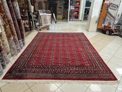 Újszerű pakisztáni bokhara-tekke 250x350 kézi gyapjú perzsa szőnyeg. KP02