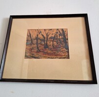 Vincze András : Ártéri Fák