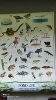 Vintage plakát 98 cm x 68 cm Arti Grafiche Riccordi Milanó Italy print nyomat jelzett eredeti