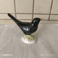 Bodrogkeresztúri fekete rigó eladó!