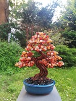 Drótfa bonsai karneol