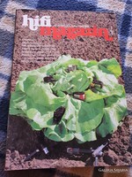 Hifi magazin 1980 tél