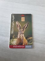 2001 - es  telefonkártya, Matáv Sok szeretettel húsvétra gyűjtőknek.