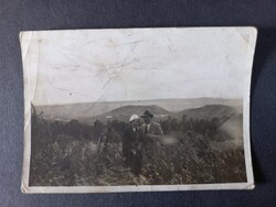 Régi fotó Budaörs panoráma 1935