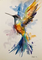 Kolibri sorozat.  A4 méret. Egy könnyed légies akvarell