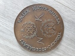 Tűzoltó szolgálati emlekplakett, Nagykanizsa 105 mm
