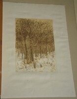 Lunczer Anikó (1942-) : Fák