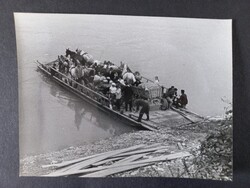 Régi fotó Újvidék, Novi Sad kompátkelés lovakkal lovaskocsikkal 1960-as évek