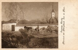 Képeslap: Ló, lovak.