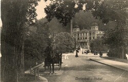 Képeslap: Ló, lovak.