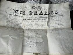 Gyógyszerész diploma 1842.