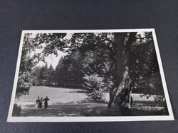 Régi képeslap Parád-Gyógyfürdő Parkrészlet 1938