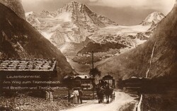 Képeslap: Ló, lovak.