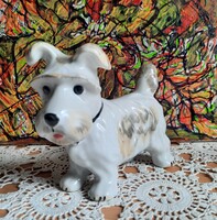 Kutya porcelán figura Cukiság - Új