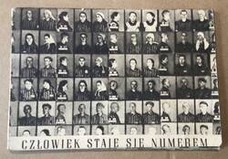 Egy ember számmá válik.  /  Auschwitz Birkenau. /  Czlowiek staje sie numerem