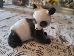 Lomonosov panda maci