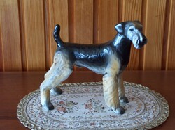 Hollóházi porcelán kutya, terrier, formás, szép, hibátlan.