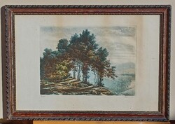 Paulovits Pál (1892-1975) : Erdő