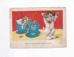 ÁK:88 Állatok-humor-gyerekek üdvözlő képeslap