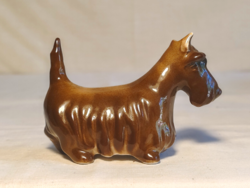 Zsolnay terrier kutya
